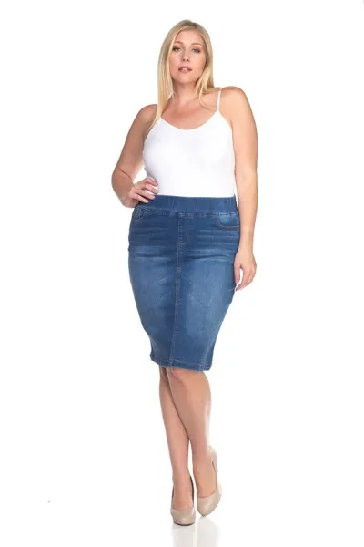 Perfect Pencil Denim Skirt